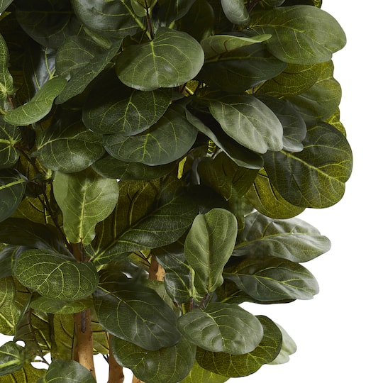 5ft. Potted Fiddle Leaf Fig Tree